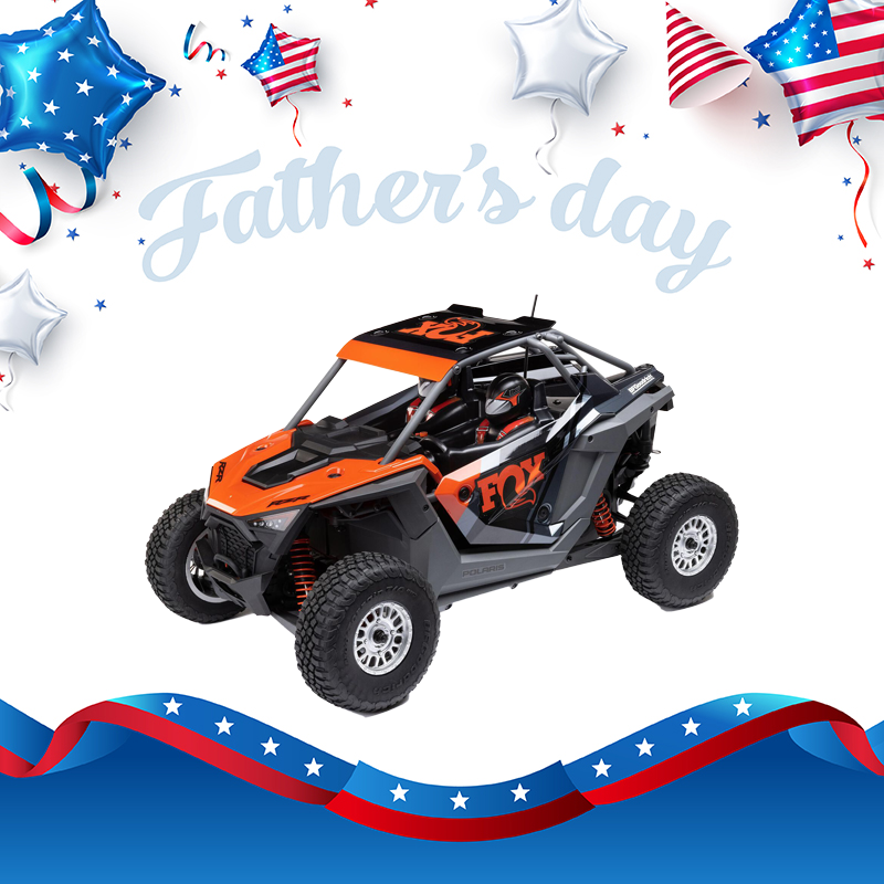 Losi 1:10 RZR Rey Polaris 3S 4X4 RTR Brushless RC Buggy Side by Side-LOS03029T1/LOS03029T2