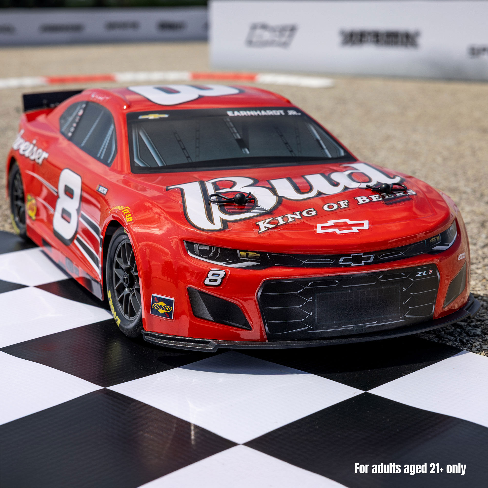 Losi 1/12 NASCAR Dale Earnhardt Jr. No. 8 Budweiser (Battery