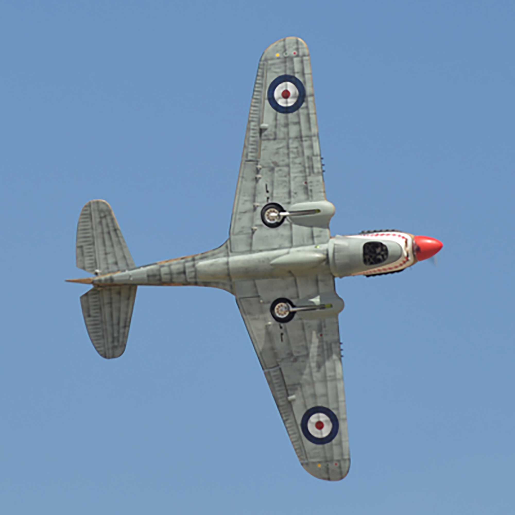 Phoenix Model 2040mm P-40 Warhawk 35-55cc ARF-PMMA0216