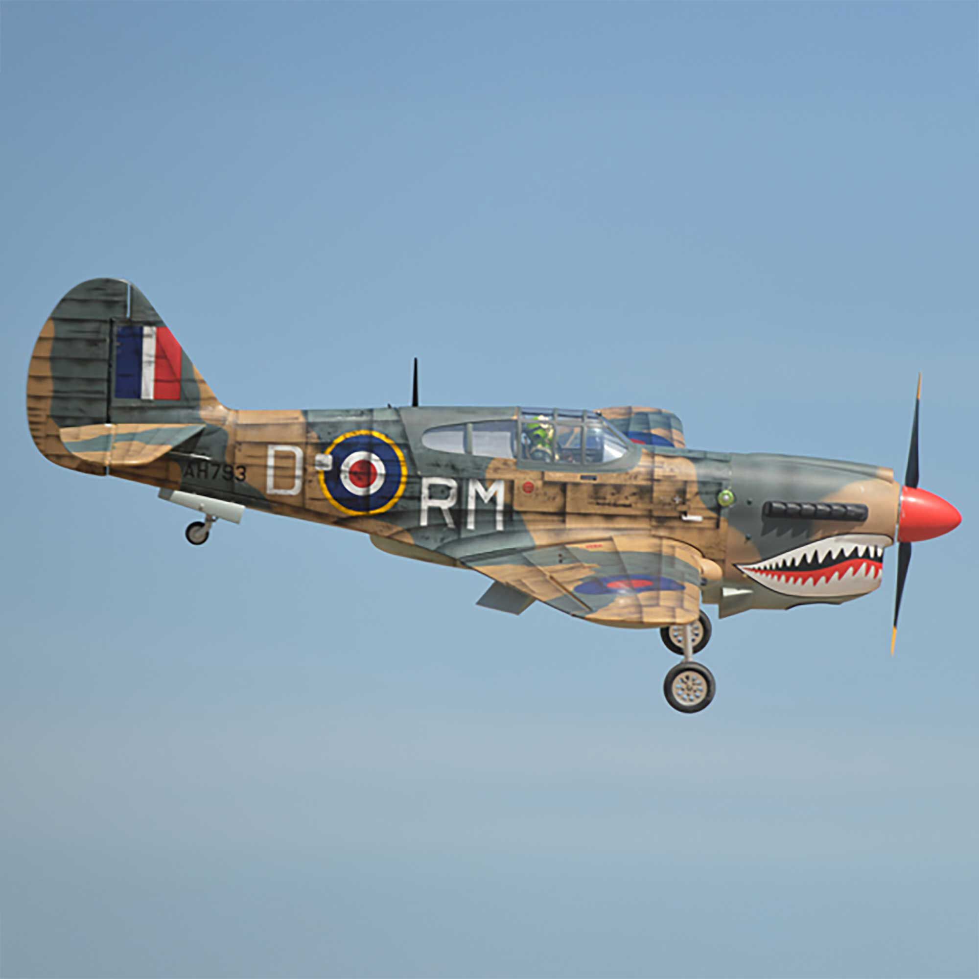 Phoenix Model 2040mm P-40 Warhawk 35-55cc ARF-PMMA0216