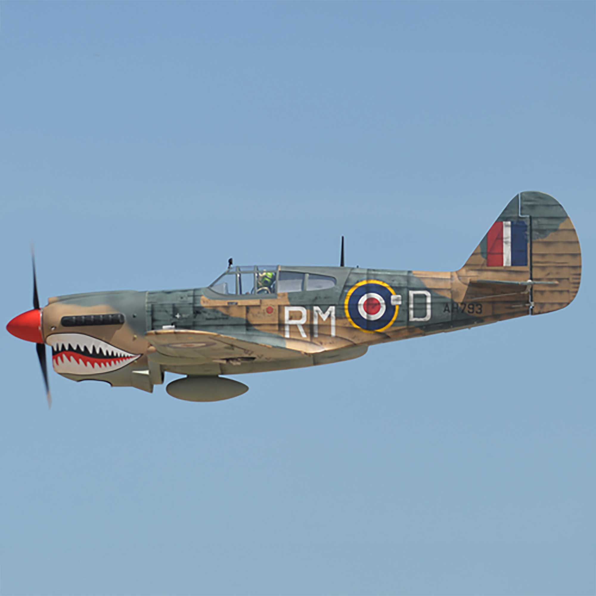Phoenix Model 2040mm P-40 Warhawk 35-55cc ARF-PMMA0216