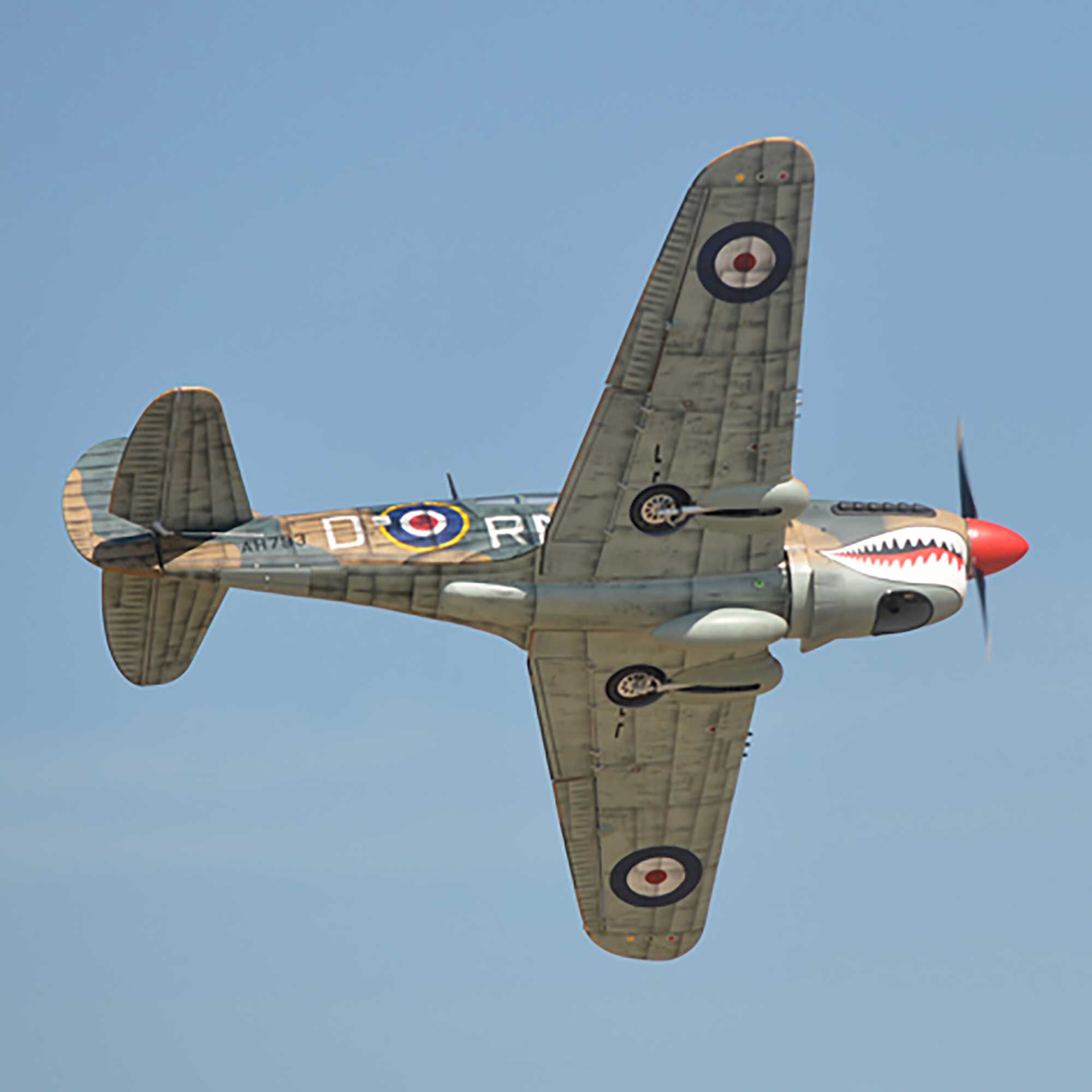 Phoenix Model 2040mm P-40 Warhawk 35-55cc ARF-PMMA0216