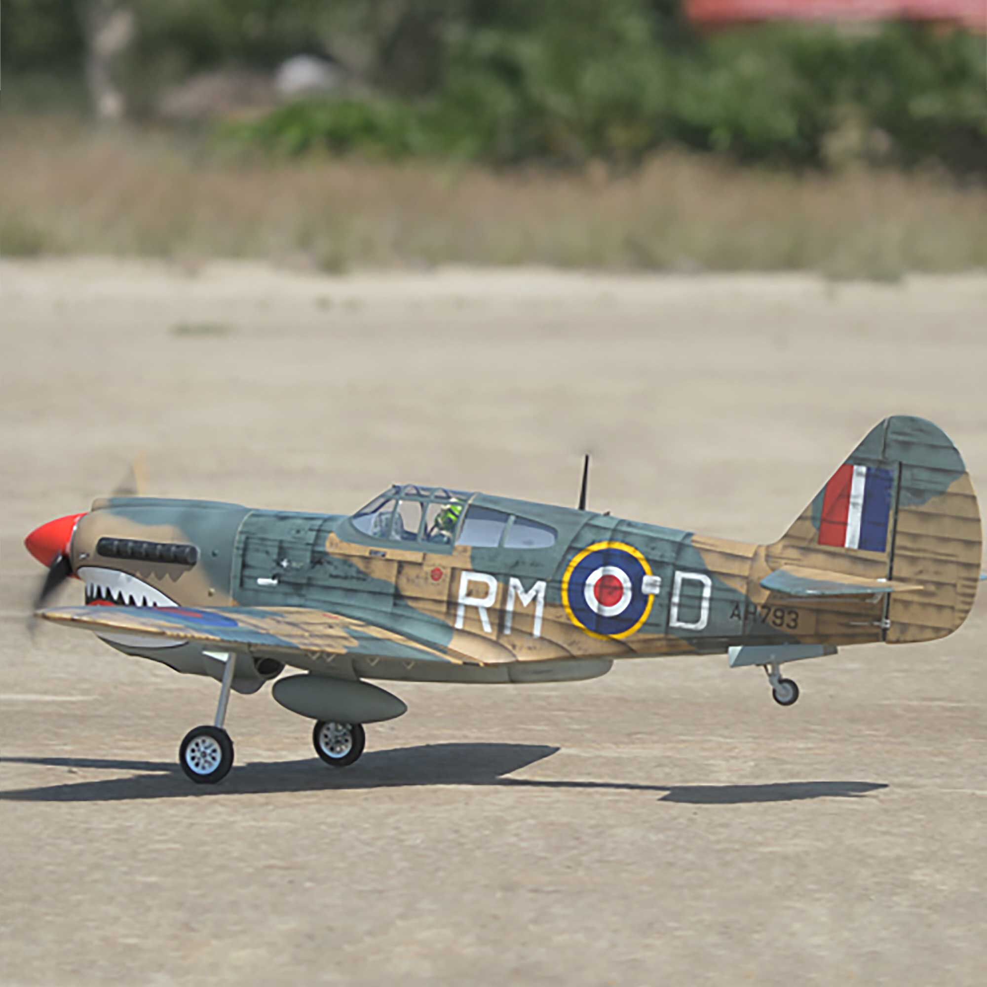 Phoenix Model 2040mm P-40 Warhawk 35-55cc ARF-PMMA0216