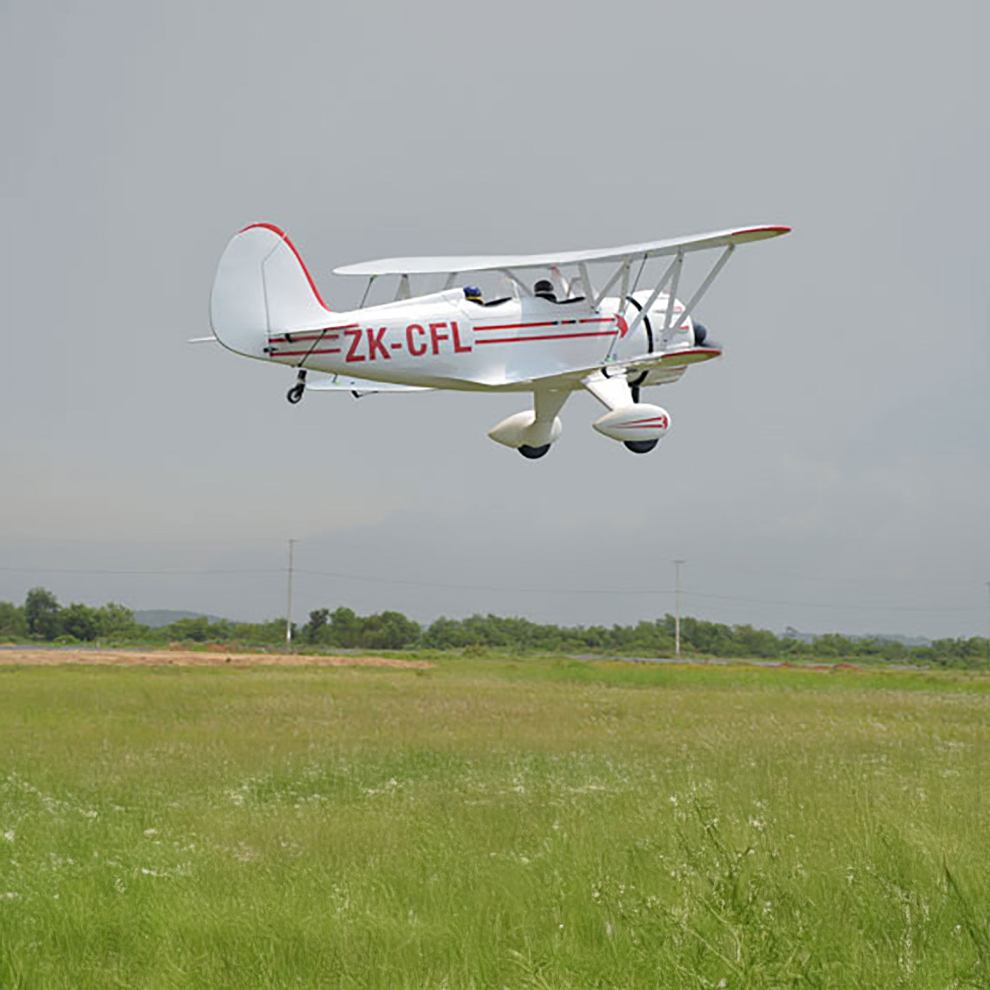Phoenix Model 2300mm WACO YMF-5 50-61cc ARF, 90.5"-PMMA1825