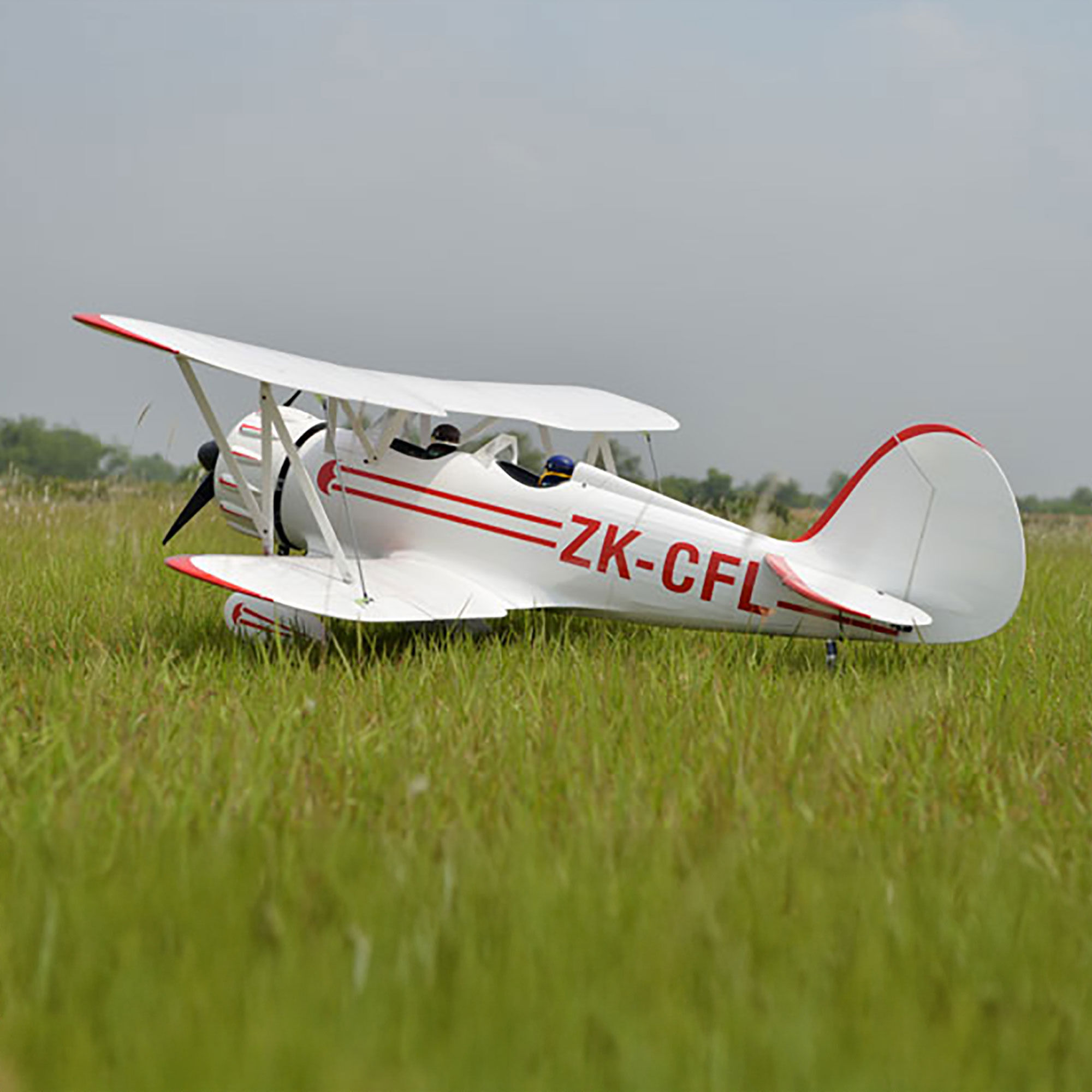 Phoenix Model 2300mm WACO YMF-5 50-61cc ARF, 90.5"-PMMA1825