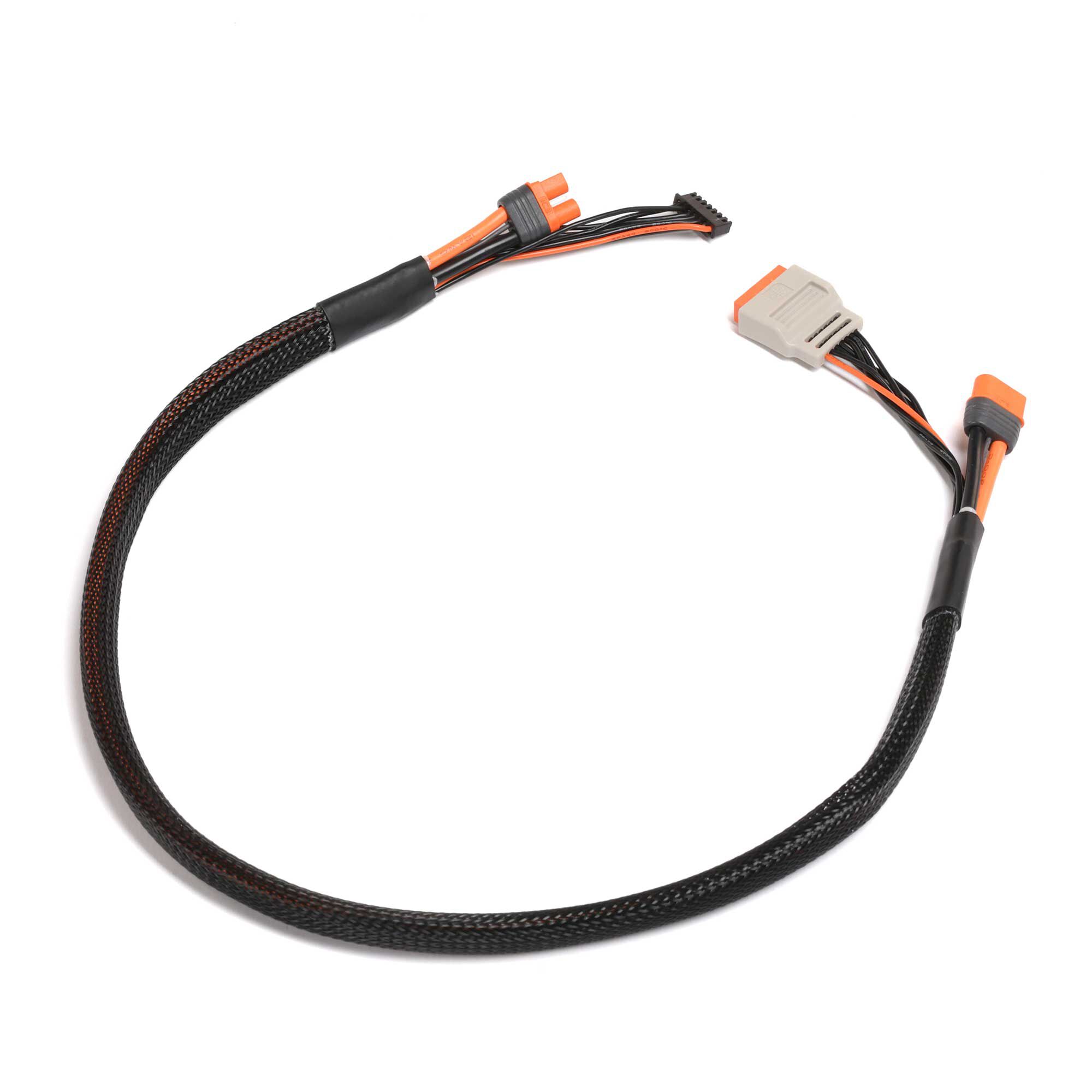 Spektrum Charge Lead with Balance Extension 24" IC3, 2-6S-SPMX-1011