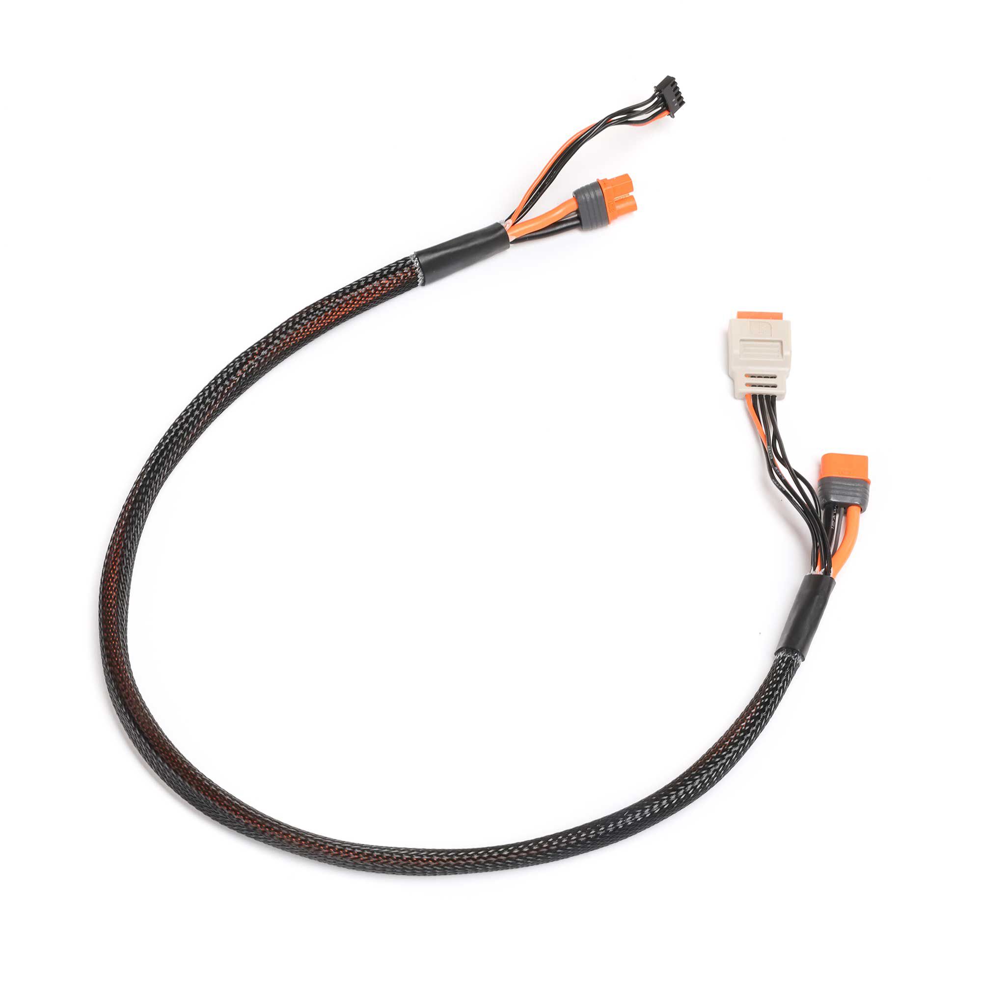 Spektrum Charge Lead with Balance Extension 24" IC3, 2-4S-SPMX-1014
