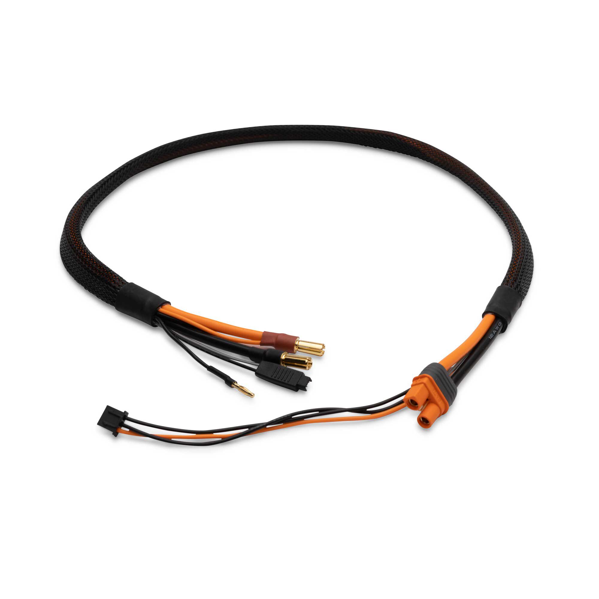 Spektrum Pro Series Race 2s Charge Cable: IC3/5mm-SPMXCA329