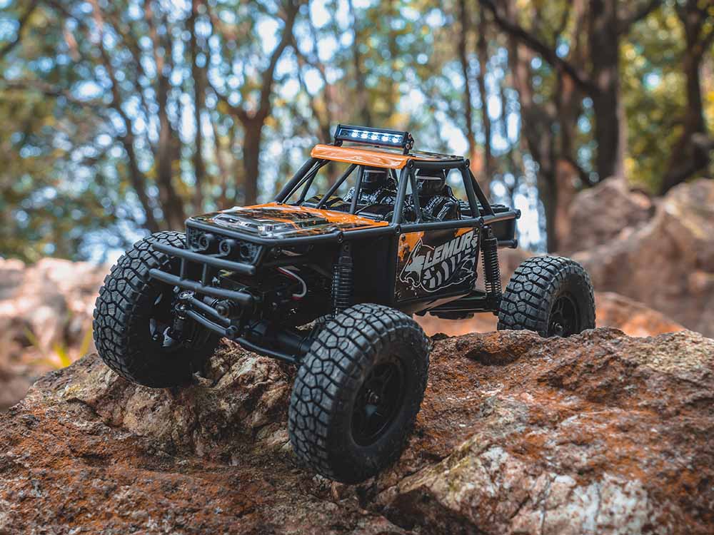 FMS FCX24 Lemur RTR 1/24th Scale-HOBBY ZONE