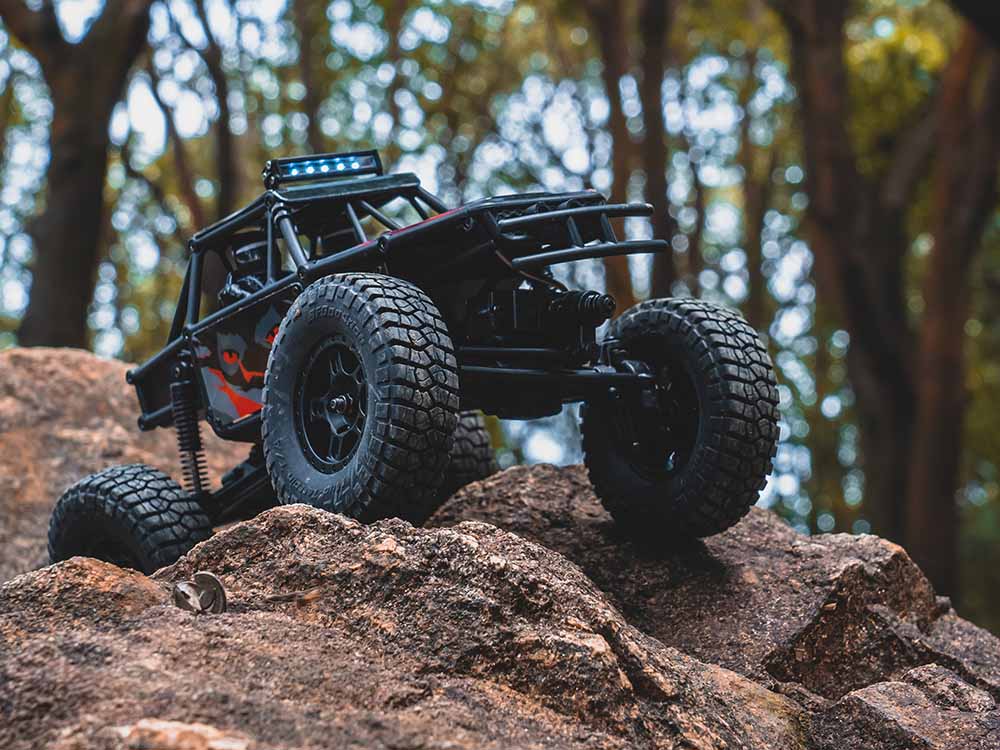 FMS FCX24 Lemur RTR 1/24th Scale-HOBBY ZONE