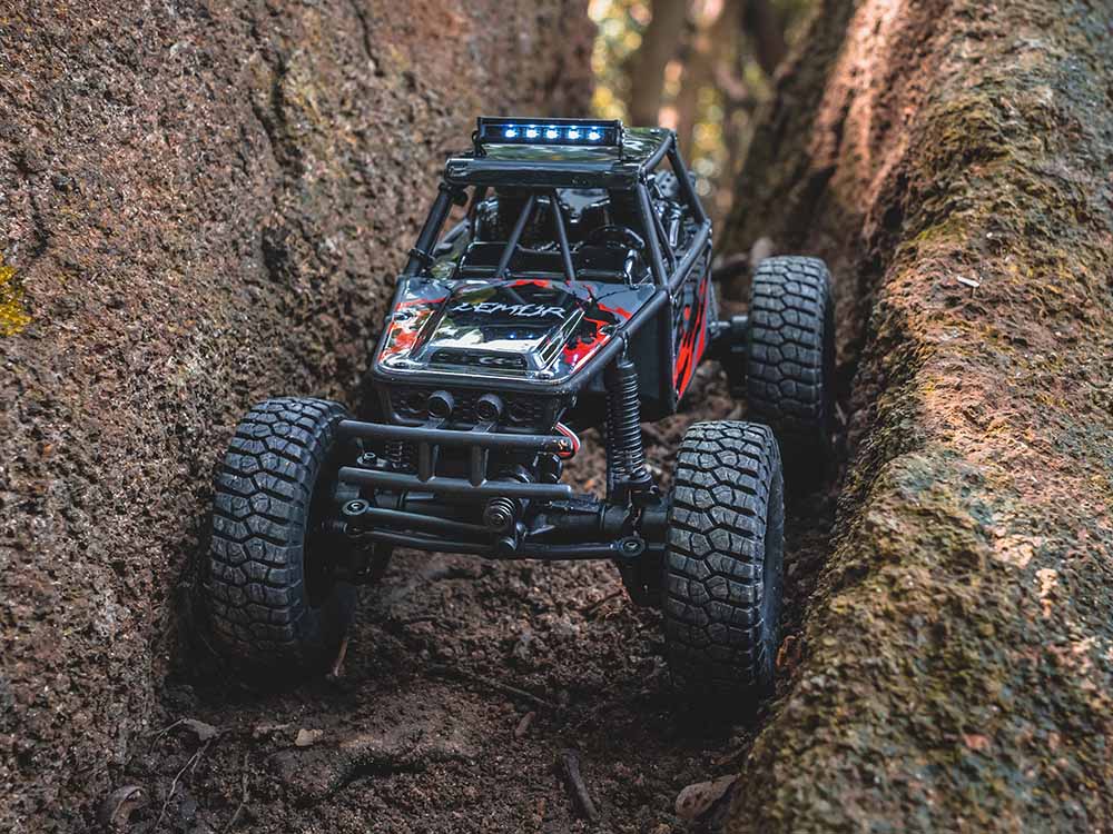 FMS FCX24 Lemur RTR 1/24th Scale-HOBBY ZONE