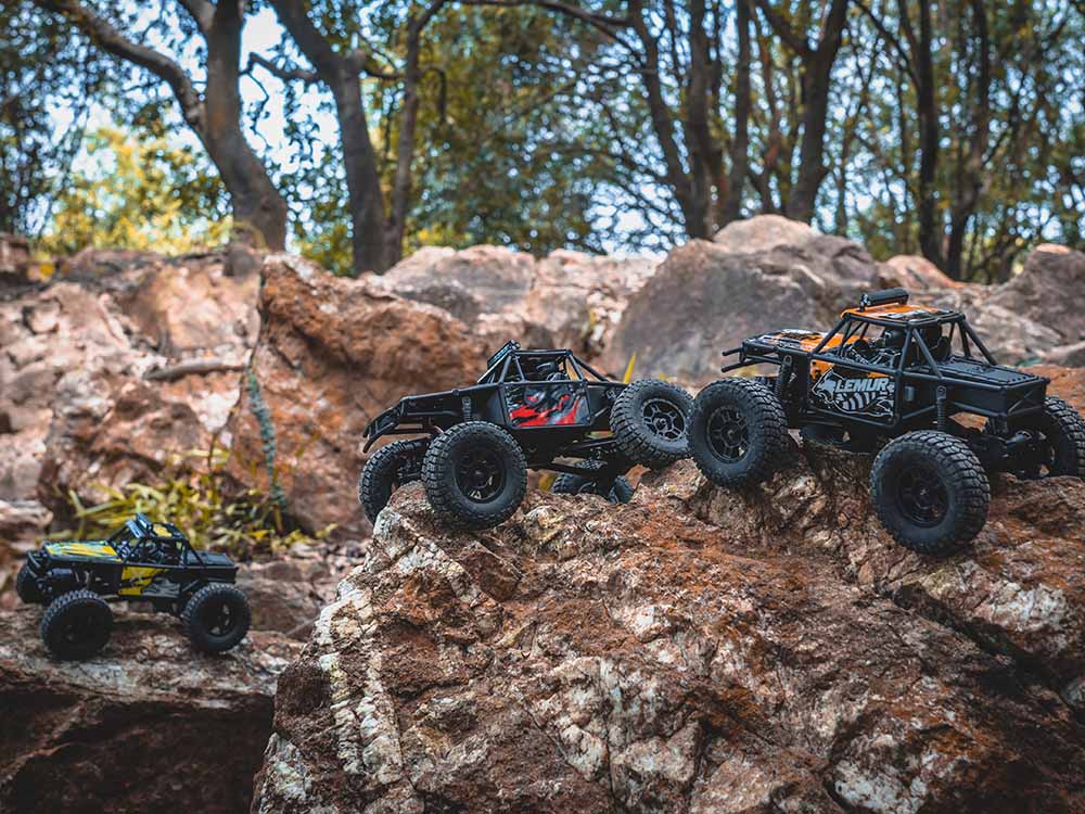 FMS FCX24 Lemur RTR 1/24th Scale-HOBBY ZONE
