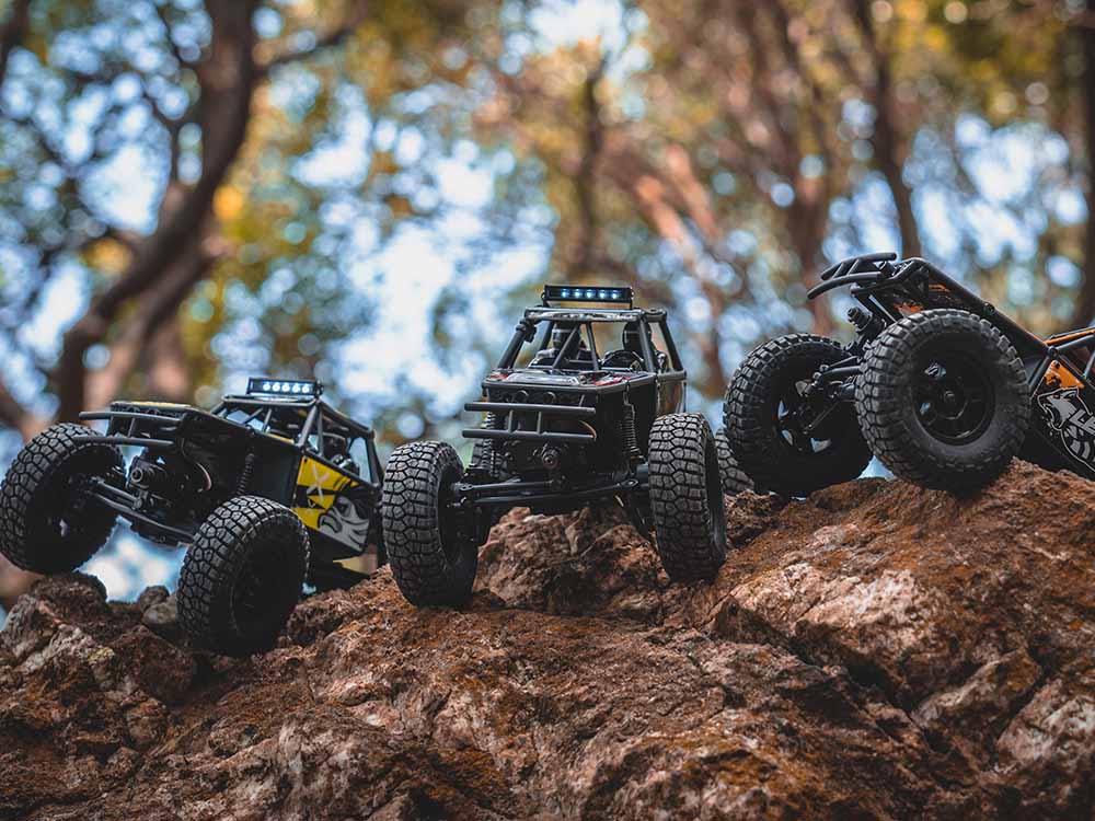 FMS FCX24 Lemur RTR 1/24th Scale-HOBBY ZONE