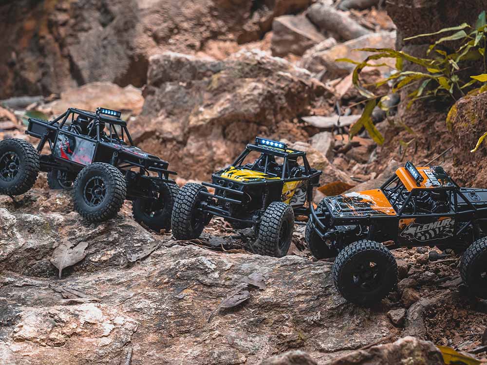 FMS FCX24 Lemur RTR 1/24th Scale-HOBBY ZONE