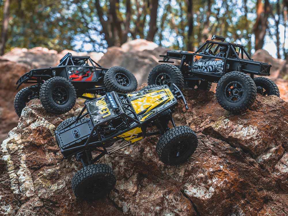 FMS FCX24 Lemur RTR 1/24th Scale-HOBBY ZONE