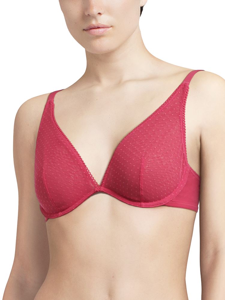 Passionata Bras & Knickers  Lingerie Outlet Store Underwear