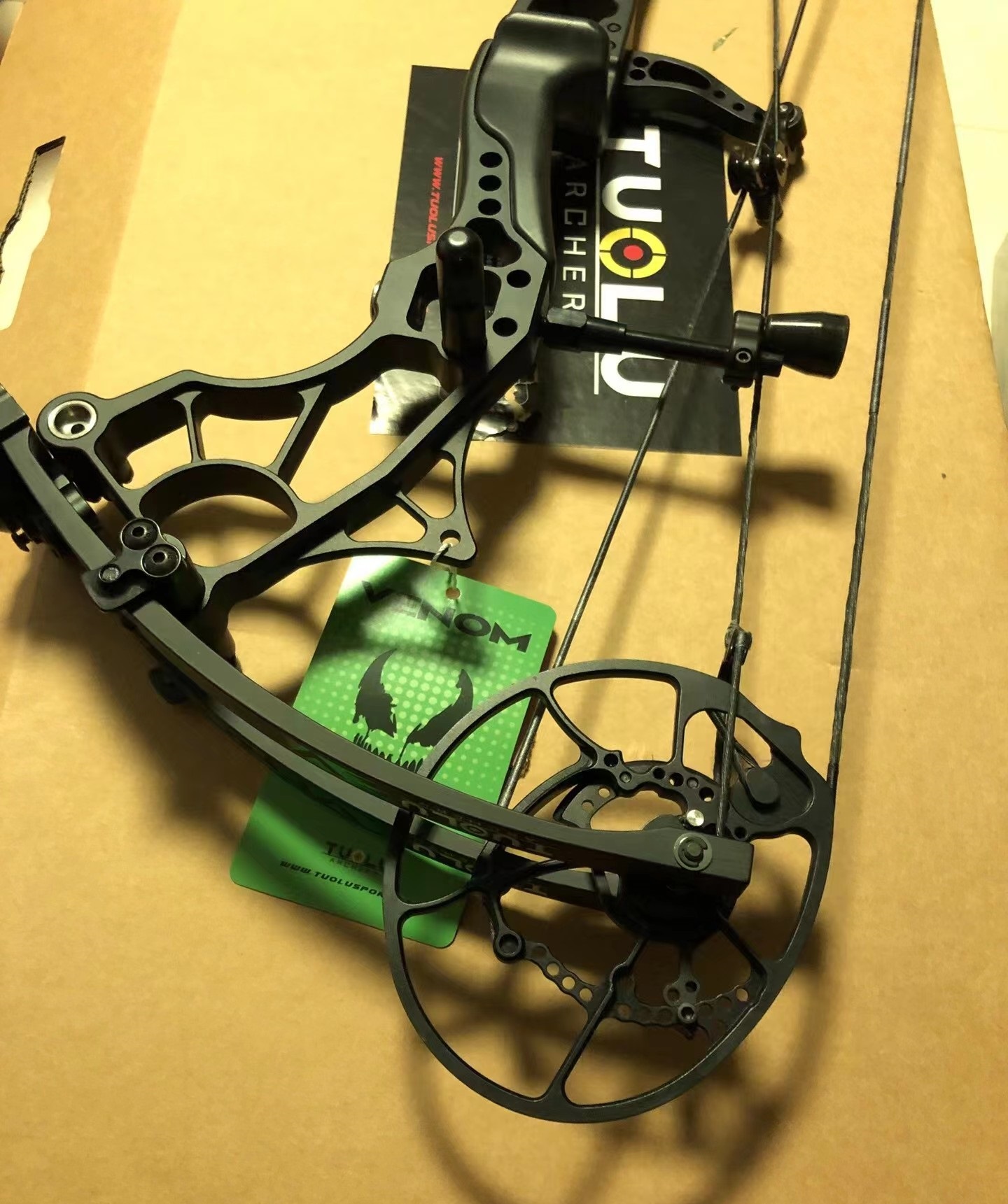 Compound Bow