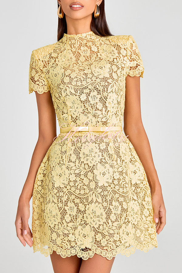 Champagne Toast Flower Lace Short Sleeve Bow Belted Mini Dress