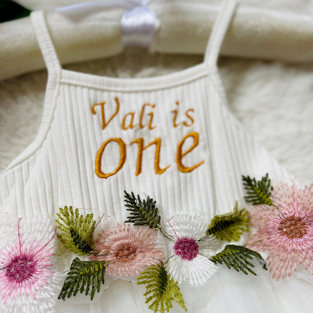 Personalized Girl Embroidered Cake Smash Dress| Dress13