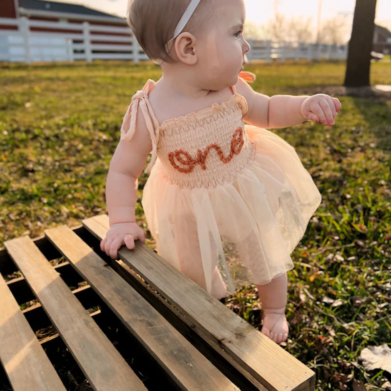 Personalized Baby Tutu Embroidered One Birthday Romper| BBCloth41
