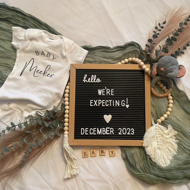 Personalized Pink Rabbit Initial Baby Onesie| BBCloth08