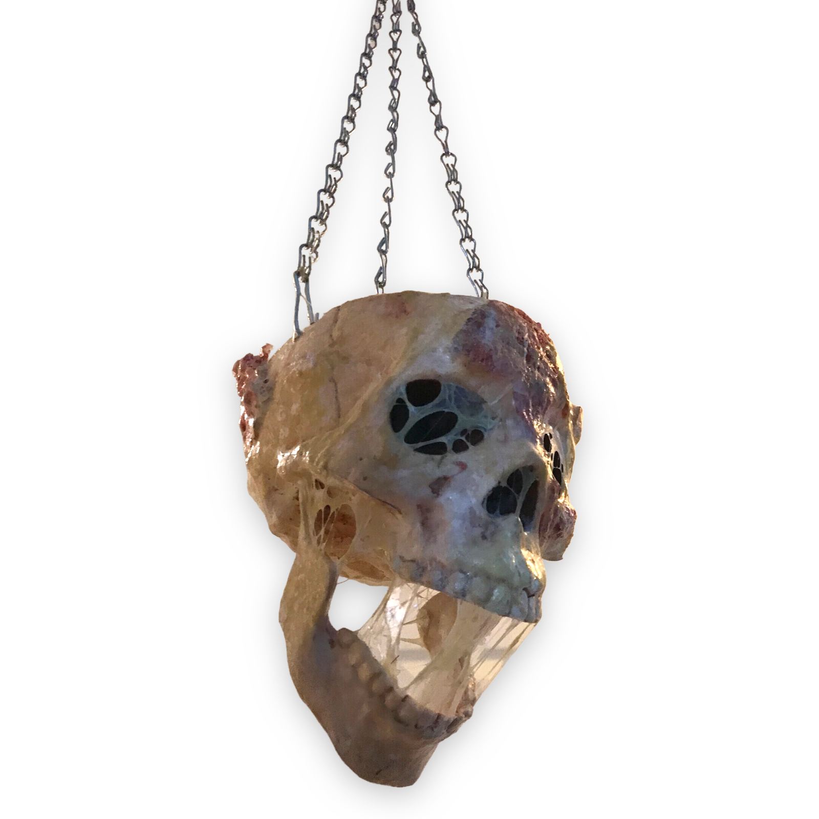 Skull Hanging Basket