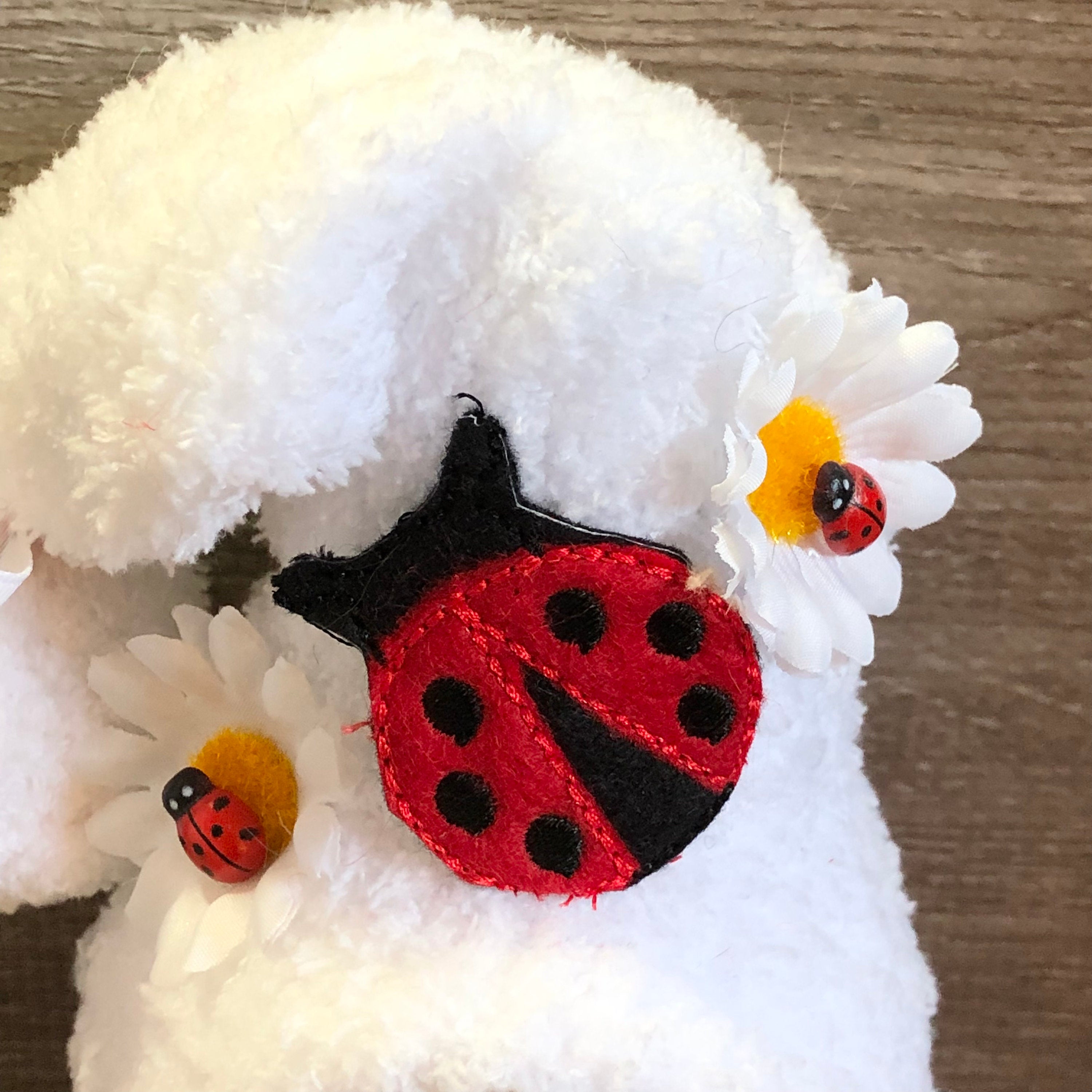 Ladybug Daisy Gnome
