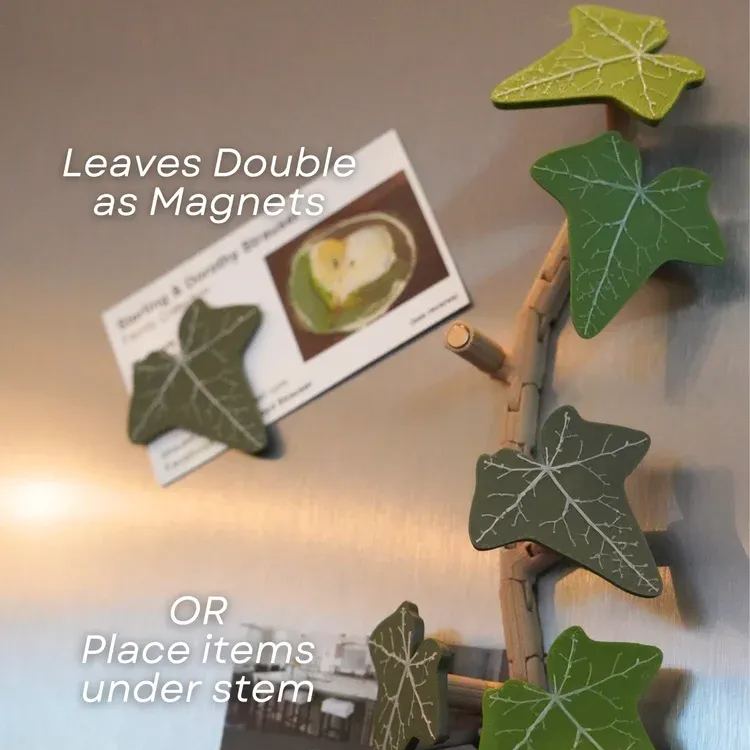 Ivy and Morning Glory Fridge Magnet