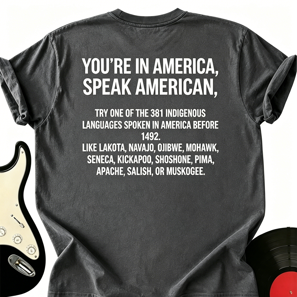 You’re In America Speak American Try One Of The 381 Indigenous T-Shirt
