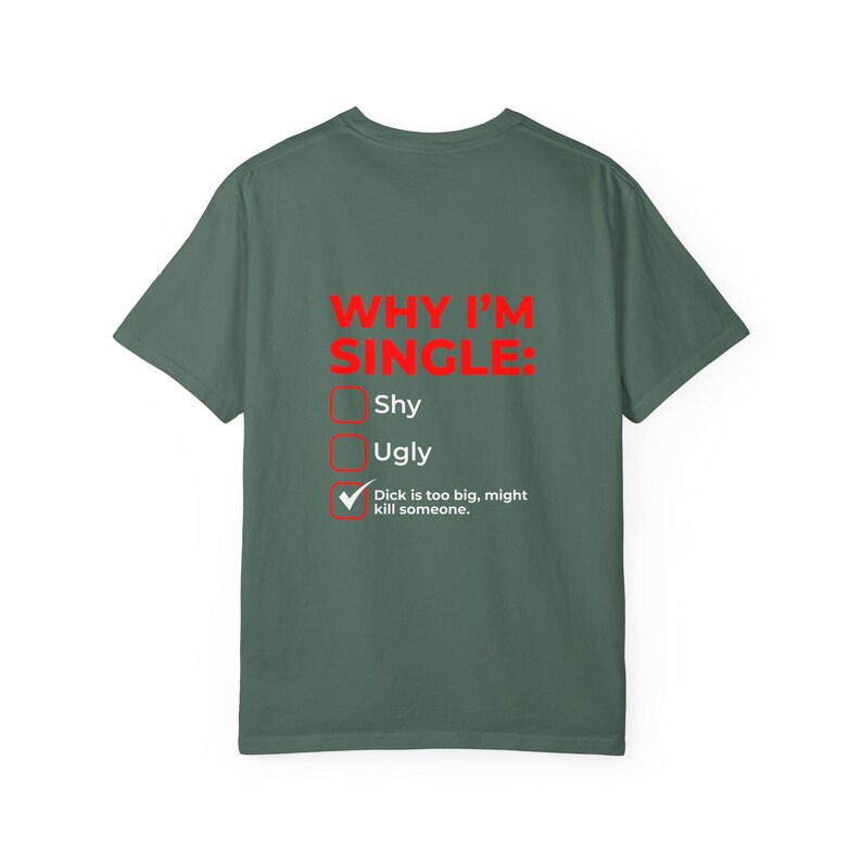 Why I'm Single Meme Shirt, Adult Humor Graphic Tee