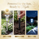 Celestial Solar Light