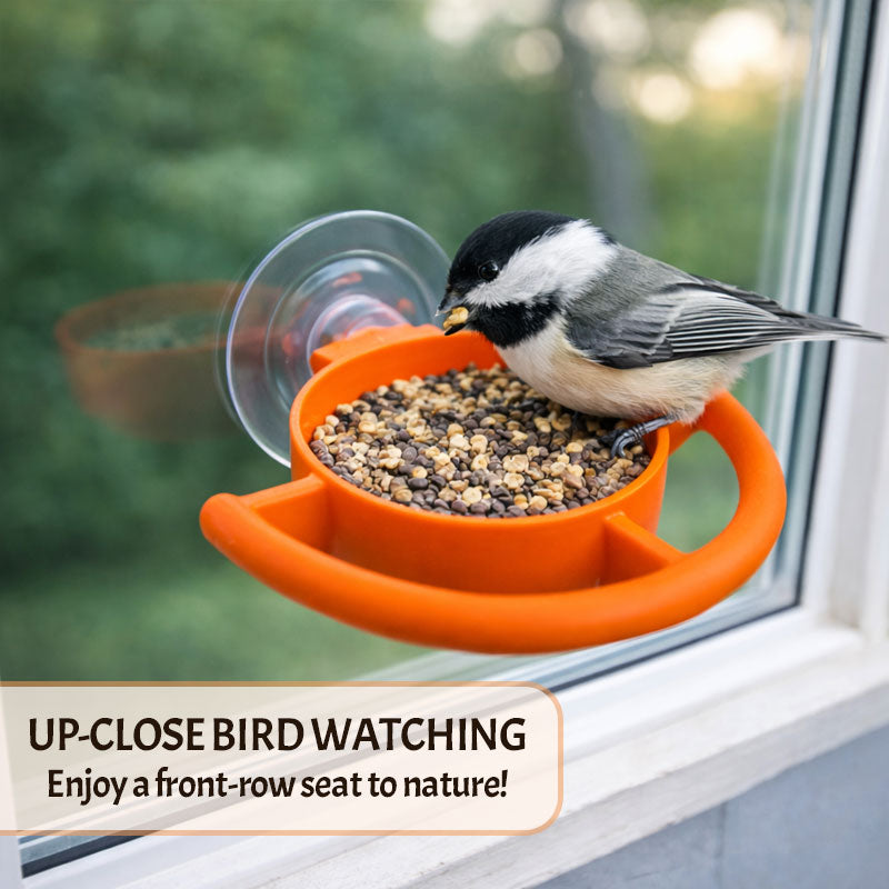 Bird Feeder Suction Cup Holder