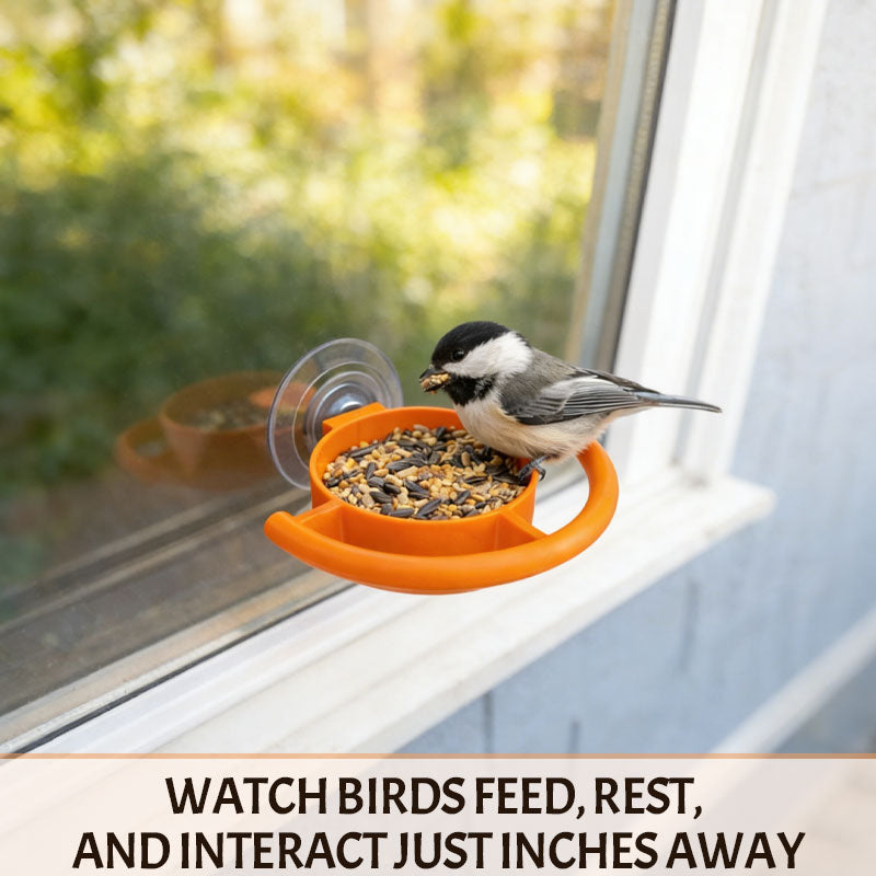 Bird Feeder Suction Cup Holder