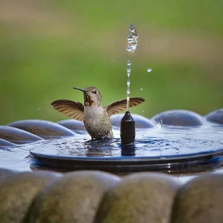 Solar Fountain, Solar Powered Bird Bath Fountain Pump