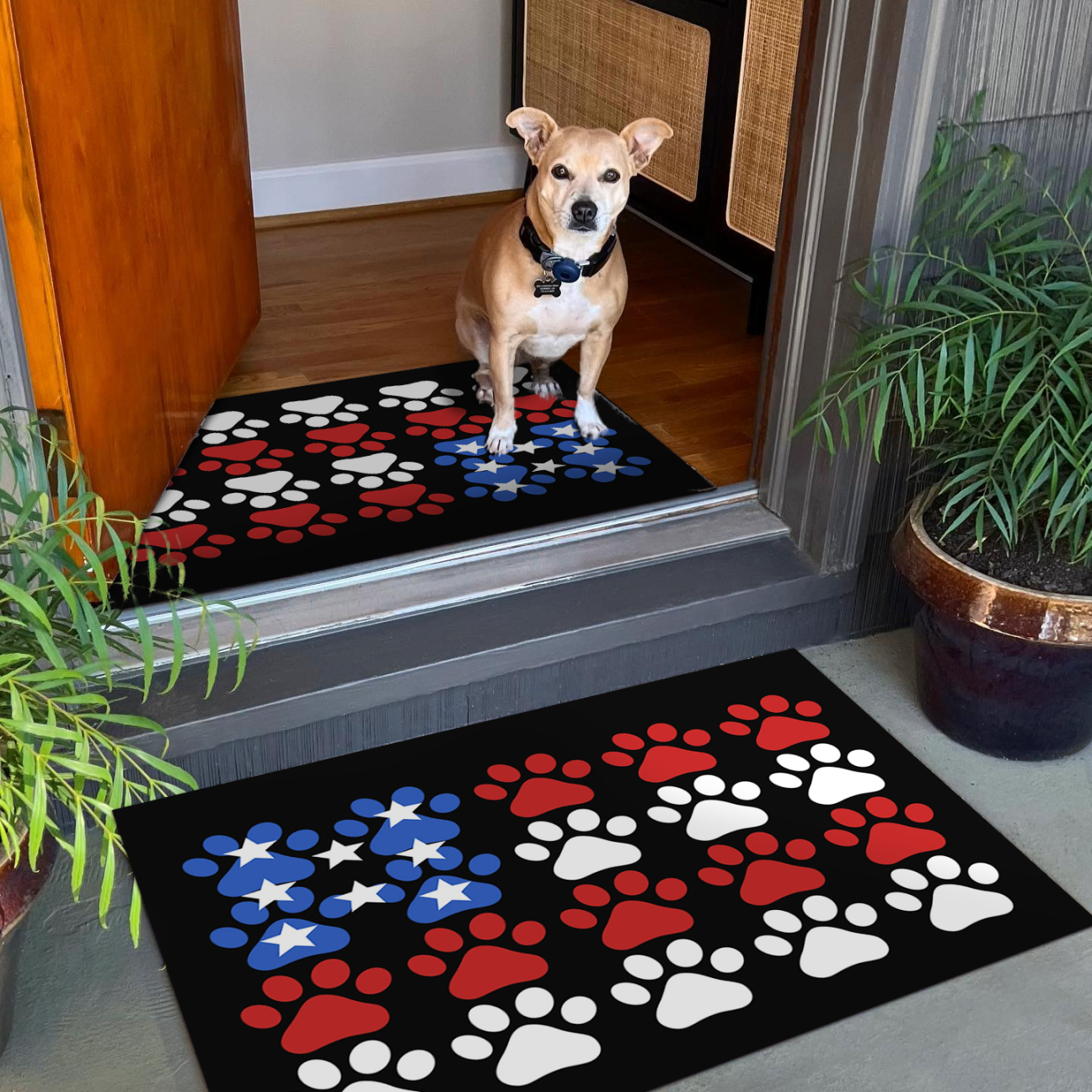 Dog Paw Mat