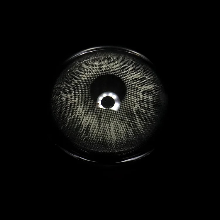 Rococo Courtship Grey | 1 Year-everylenses