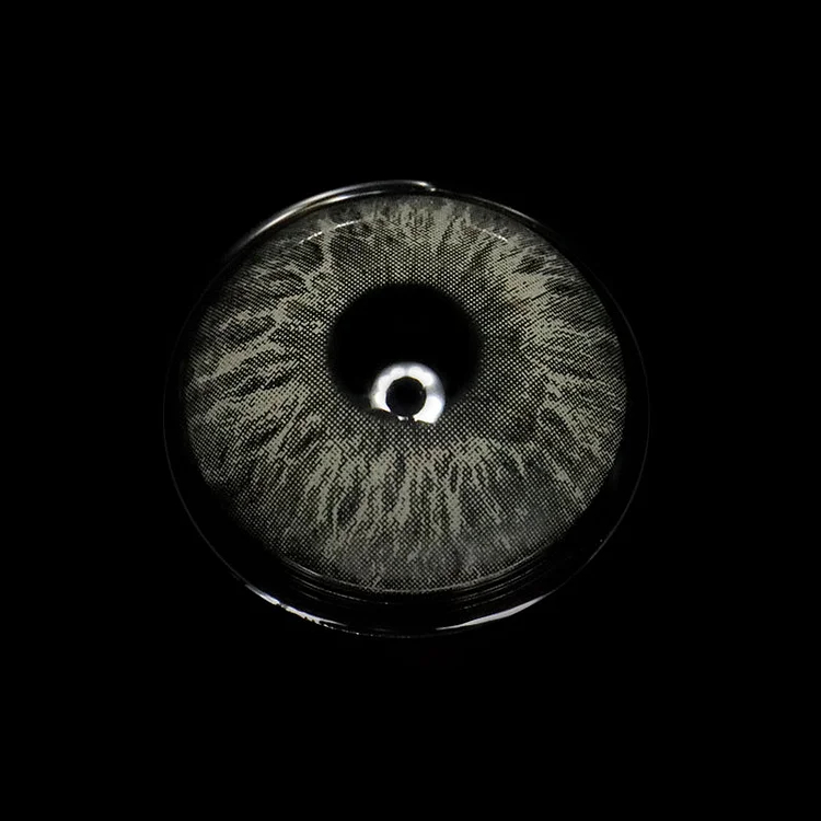 Rococo Elegance Grey | 1 Year-everylenses