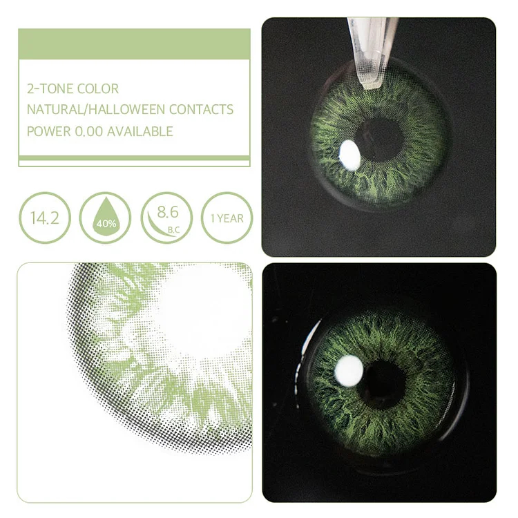 Rococo Encounter Green | 1 Year-everylenses