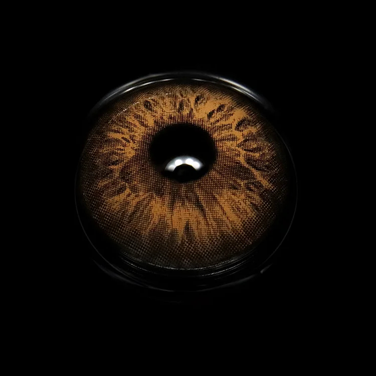 Rococo Love Letter Brown | 1 Year-everylenses