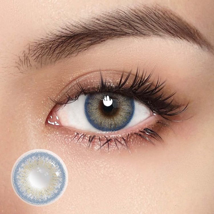 Wildcat Blue | 1 Year-everylenses