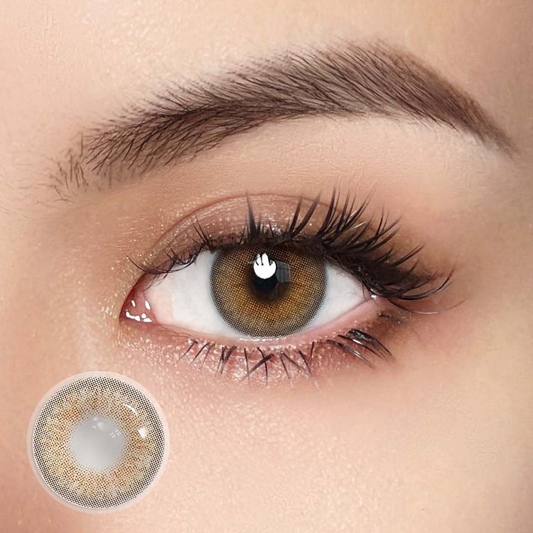 Wildcat Brown | 1 Year-everylenses