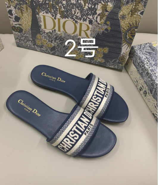 dior slipperS