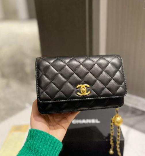 Chanel bag for women