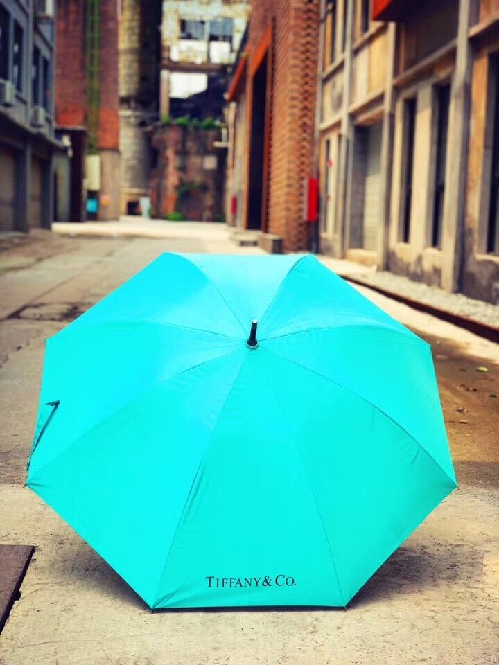 Tiffany Blue Solid Wood Handle Umbrella