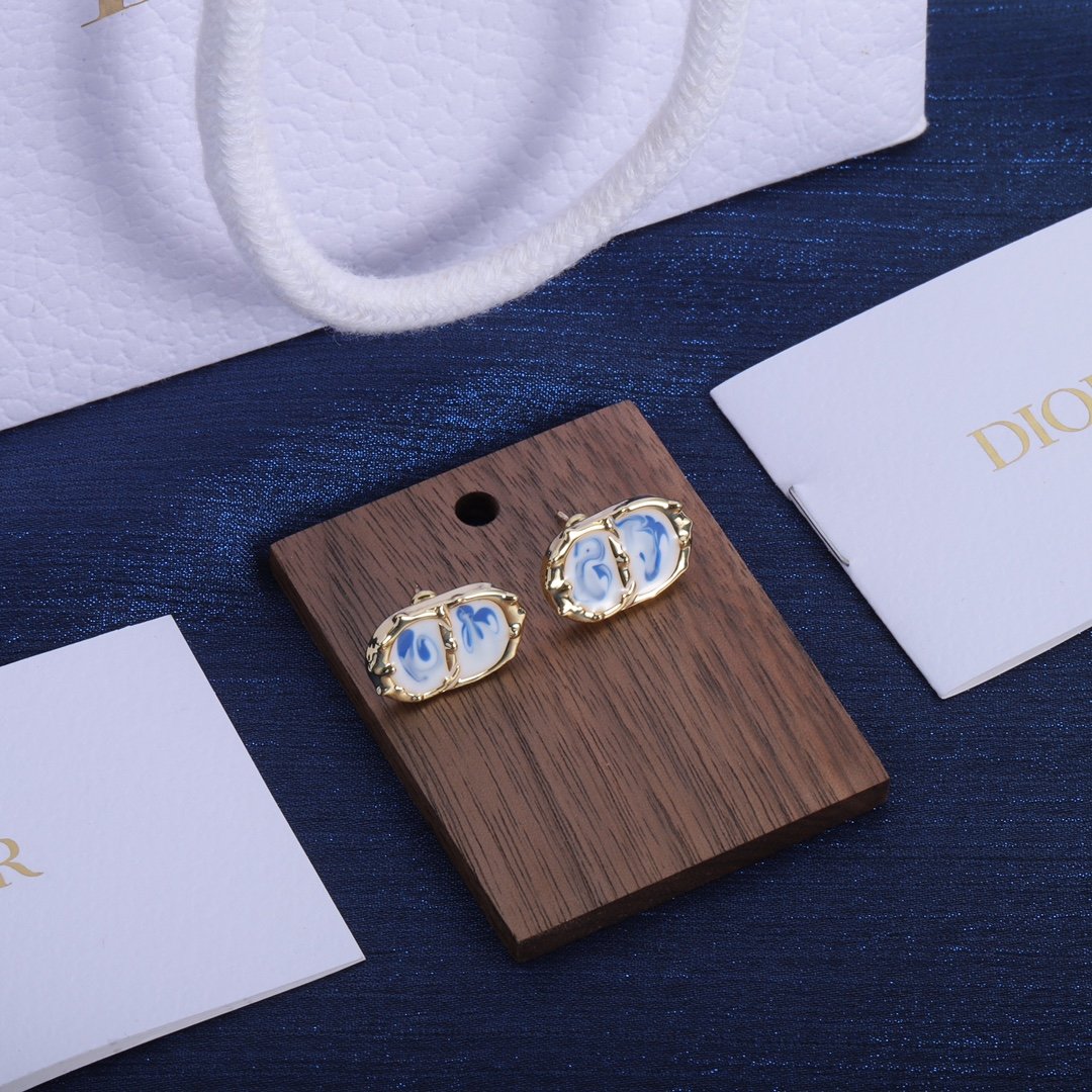 Dior Fashion Earrings