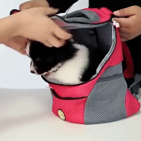 bolsa de transporte para cachorro