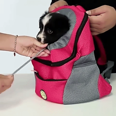 bolsa de transporte para cachorro