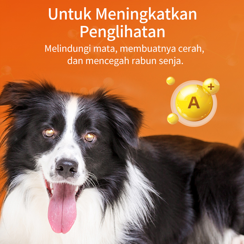 Masticables multivitamínicos para perros y gatos