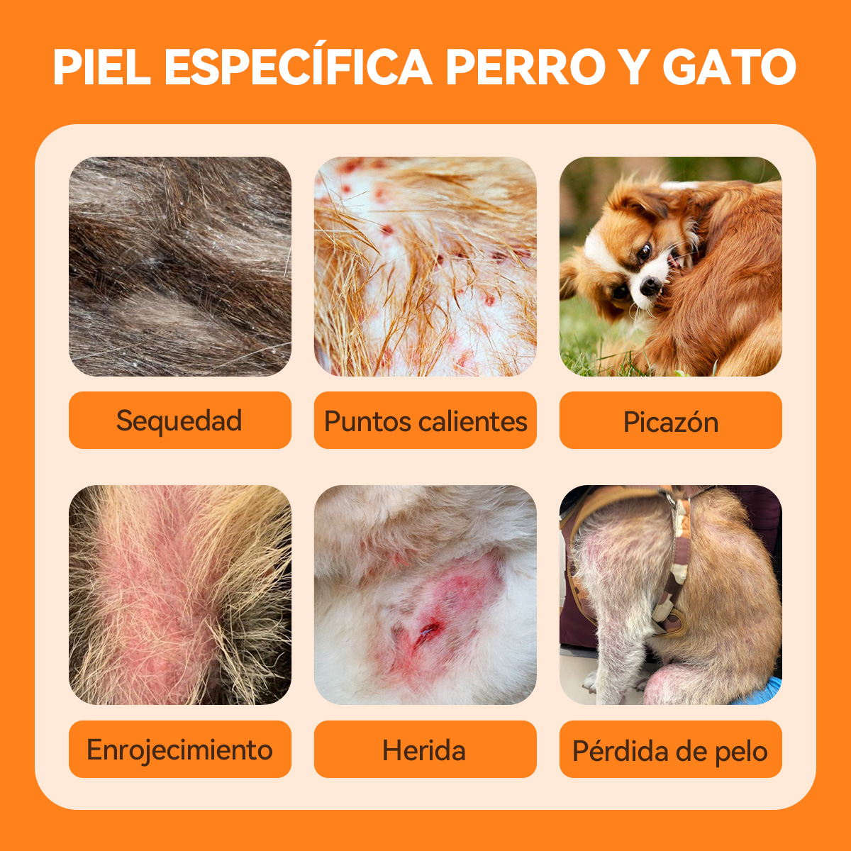Spray para el tratamiento de la piel de perros y gatos
