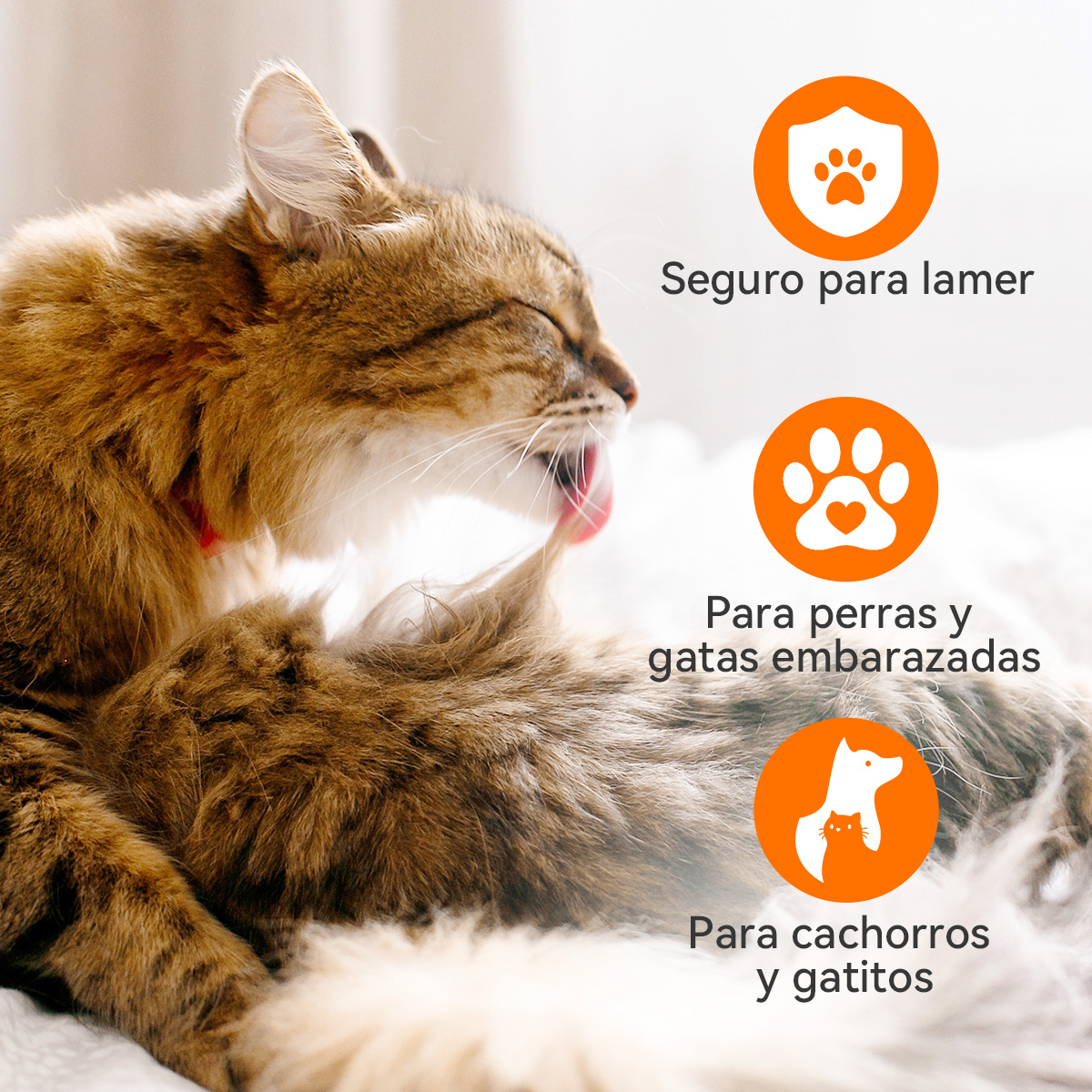 Spray para el tratamiento de la piel de perros y gatos